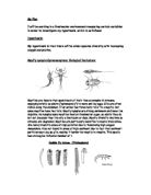 hypothesis on seed germination I will be working in a freshwater environment measuring certain variables in order to investigate my hypothesis, which is as follows - My hypothesis is that there will be wider species diversity with increasing oxygen saturation.