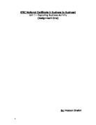 British Airways and HM Prison Business Activities